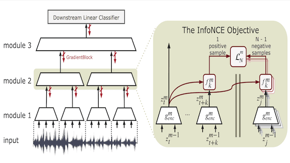 Better Than Backprop: Greedy InfoMax trains AI without end-to-end backpropagation.