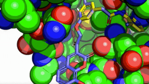 Crowdsourcing Against Coronavirus: A global effort using AI to find Covid-19 medicine.
