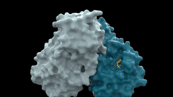 Crowdsourcing a Cure: Covid Moonshot, the crowdsourced effort to find a cure