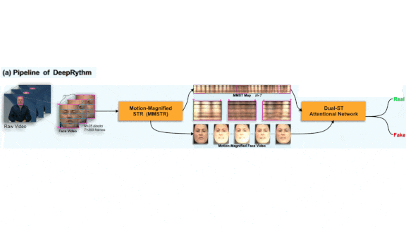 Deepfakes Are Heartless: AI detects deepfaked videos by their lack of heartbeat.