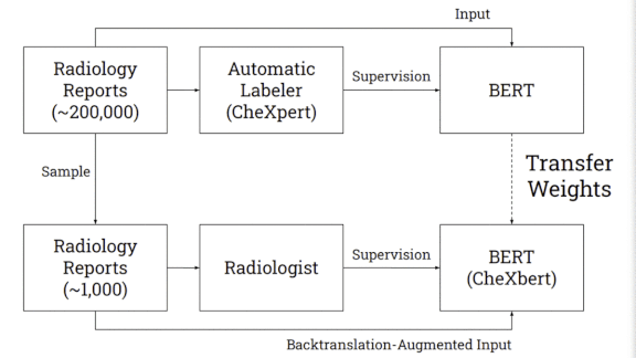 Human-Level X-Ray Diagnosis: A research summary of CheXbert for labeling chest x-rays