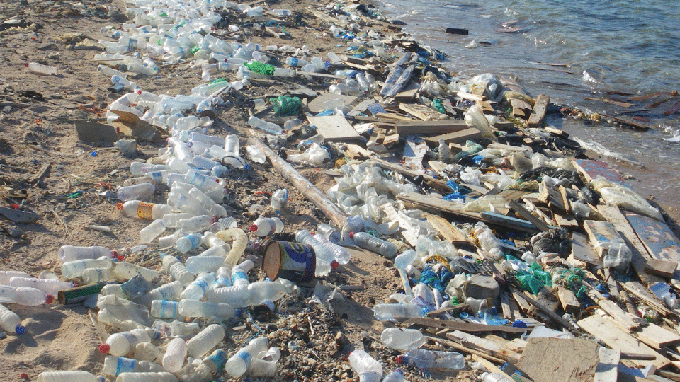 Seeing Sea Plastic: Computer vision spots ocean trash from satellite imagery.