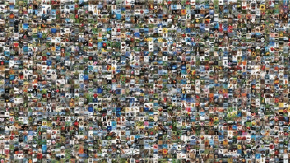 Tiny Images, Outsized Biases: Why MIT withdrew the Tiny Images dataset