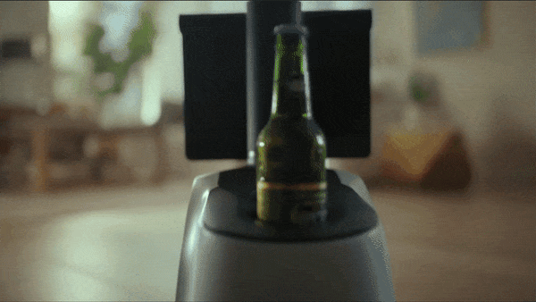 Guard Bot: Amazon Household Robot Patrols Home for Intruders
