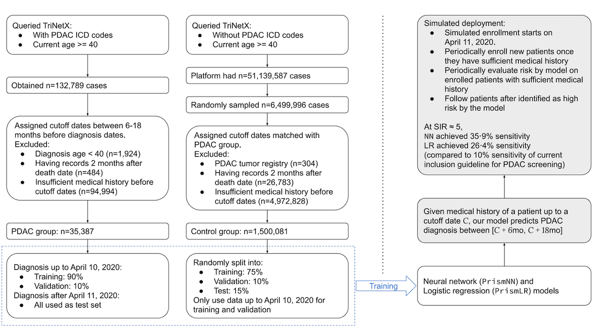 Early Detection for Pancreatic Cancer: A neural network shows remarkable accuracy in forecasting risk of pancreatic cancer.
