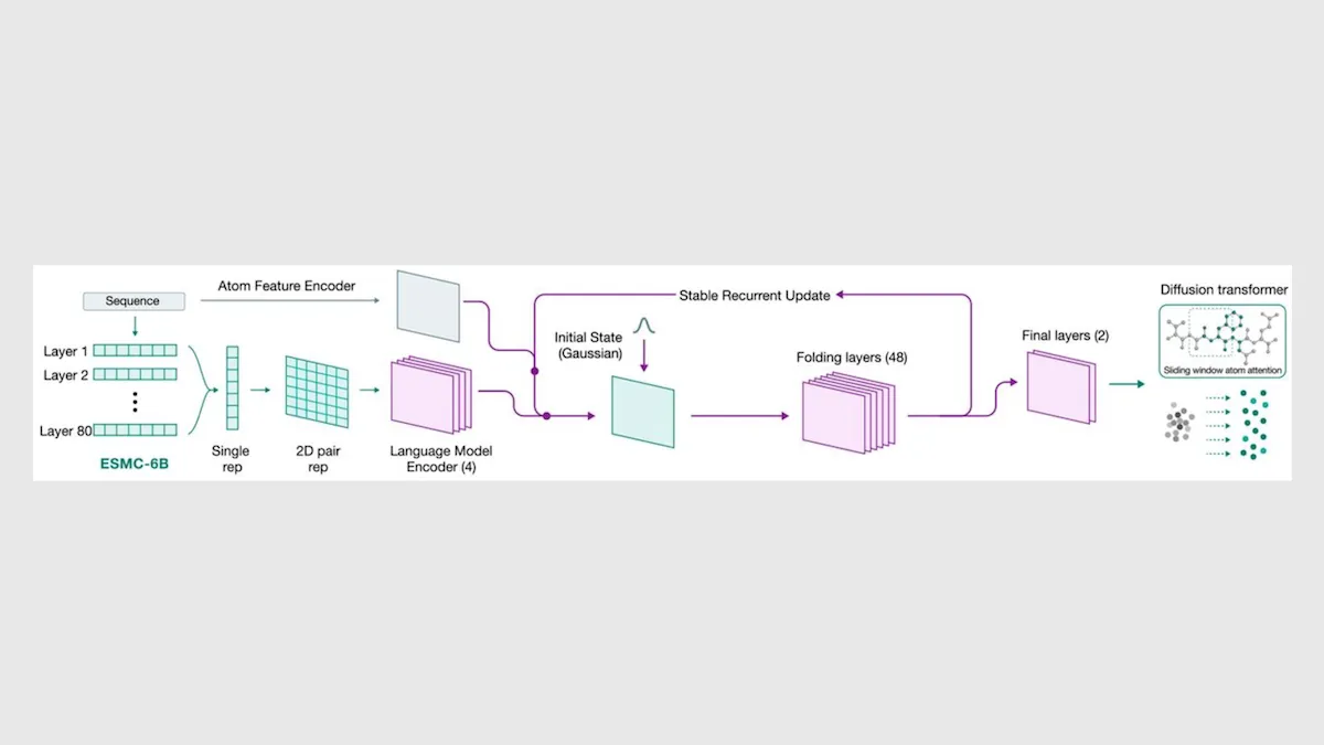 Biological Molecules as Language: ESMFold2 approaches AlphaFold 3 performance but with an open, Transformer-based architecture