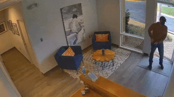 Draw a Gun, Trigger an Algorithm: These AI-enabled security cameras automatically ID guns.