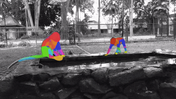 Model See, Model Do: Researchers use DensePose to analyze animal behavior.