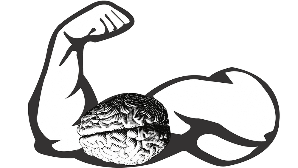 How to Develop Muscle Memory for Your Mind
