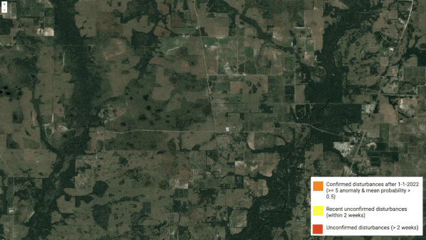 Wreckage Recognition: AI System Spots Hurricane Ian Damage