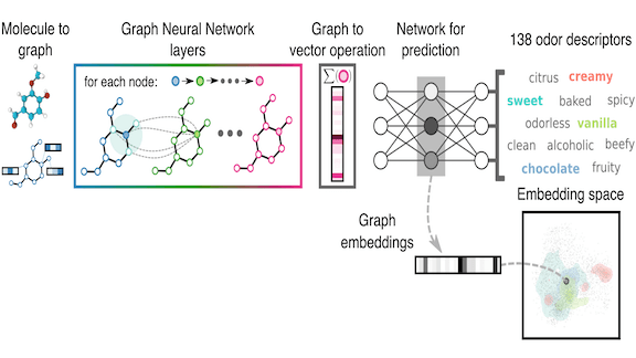 Nose Job: AI predicts smell by analyzing a molecule's structure.